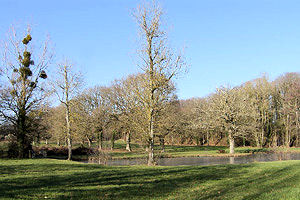 Le Coudray (44). Au bord du lac