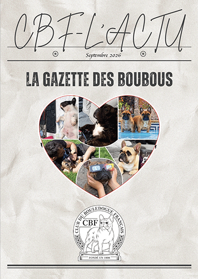 CBF L'Actu au format PDF