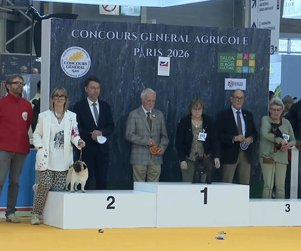 Sophia Lauren de la Mare Guesclin au Concours Général Agricole (26/02/2026)