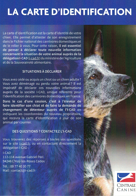 La carte d'identification