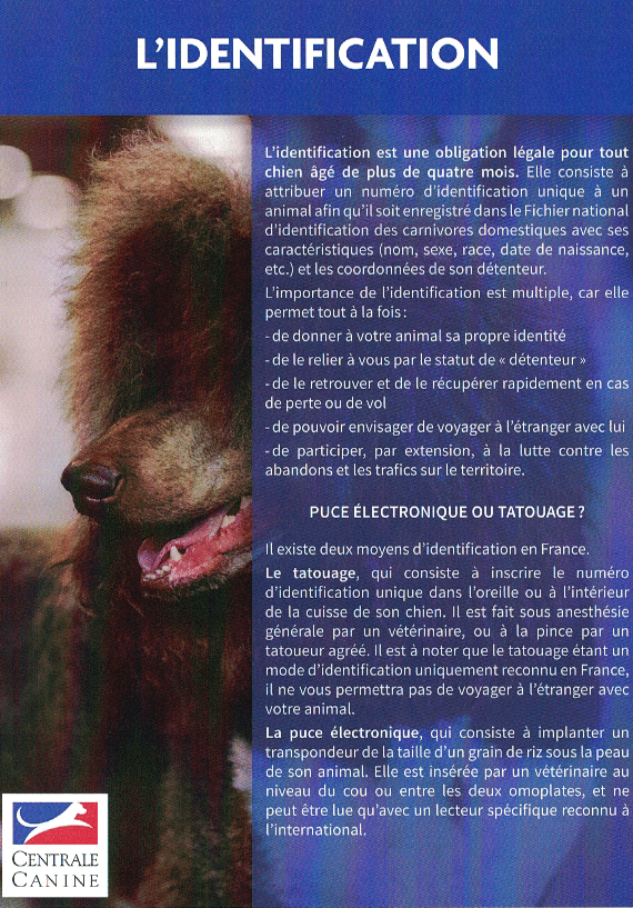 L'identification